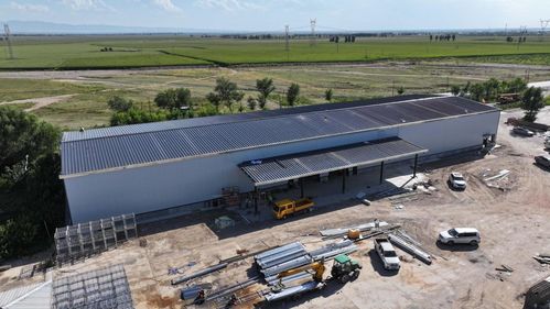 烏拉特前旗 以“四個一”工程繪就產業振興新圖景