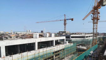 中國電工電器城八月工程進度播報 穩步推進，共建產業新高地